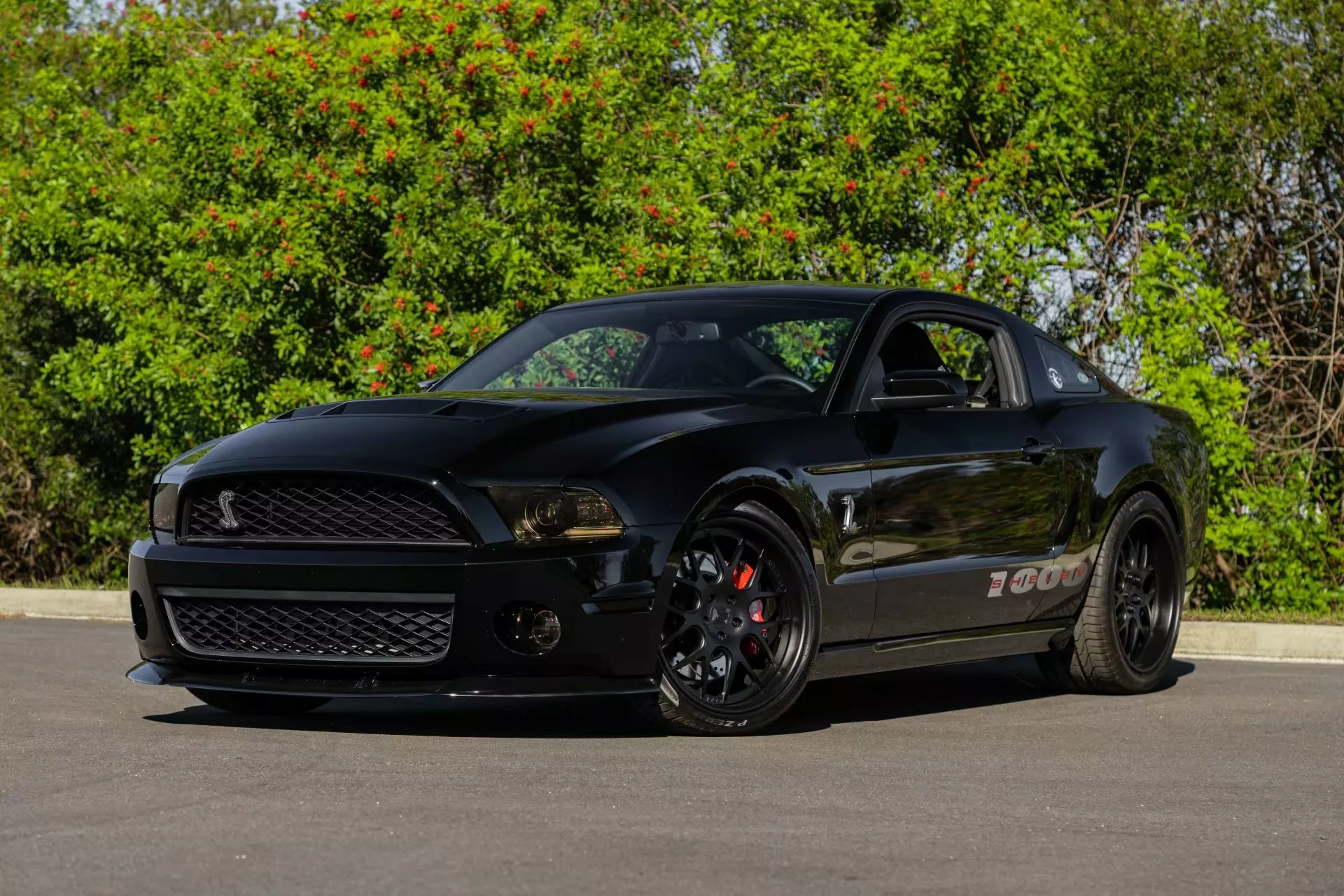 Shelby 1000