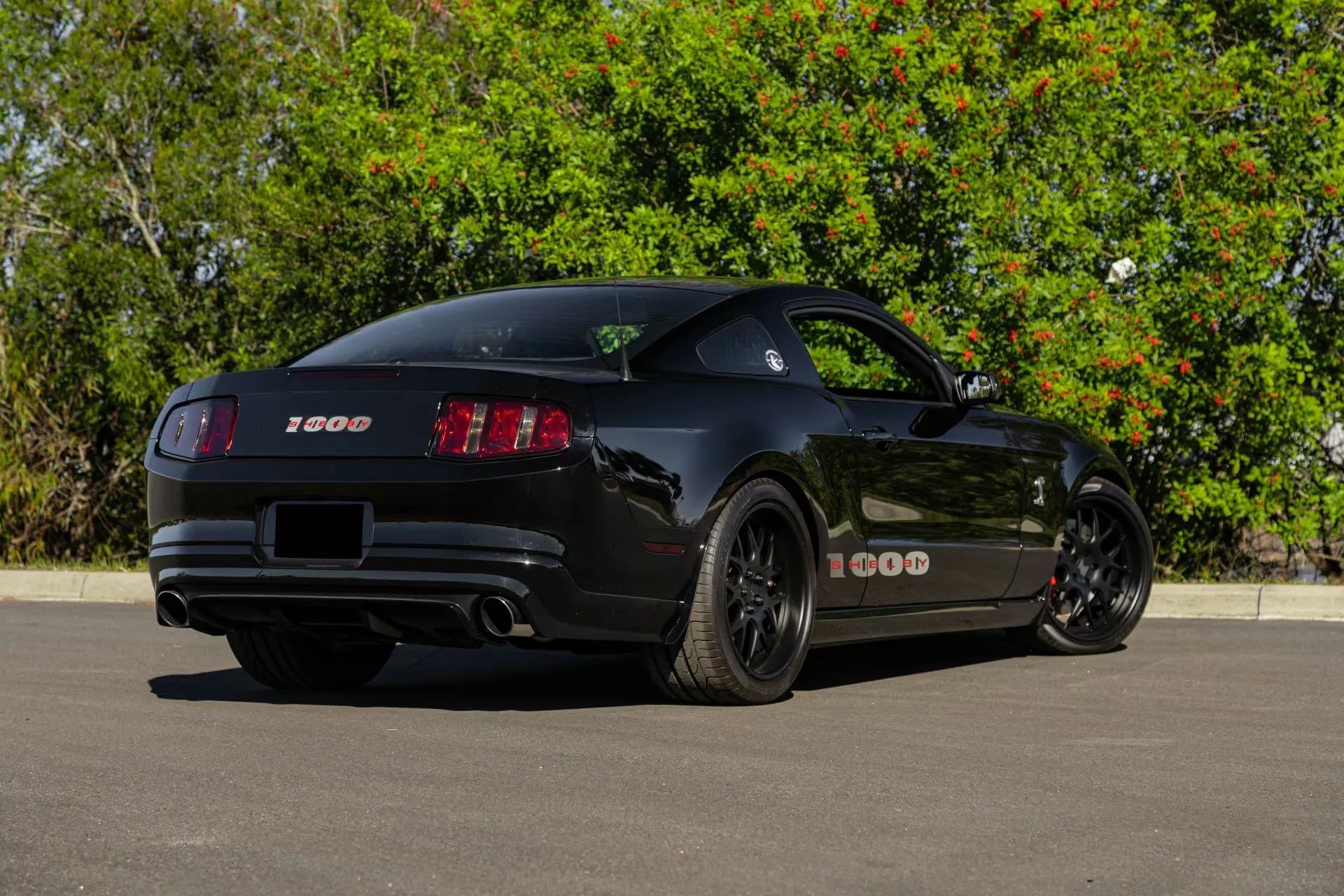 Shelby 1000