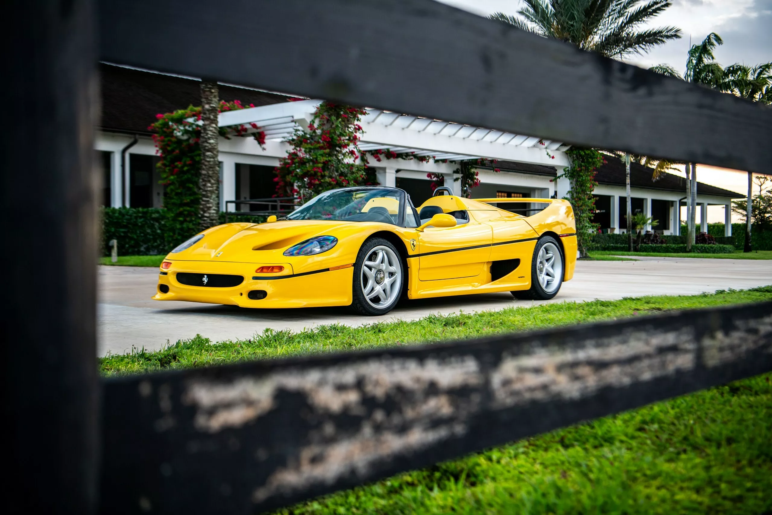 Ferrari F50