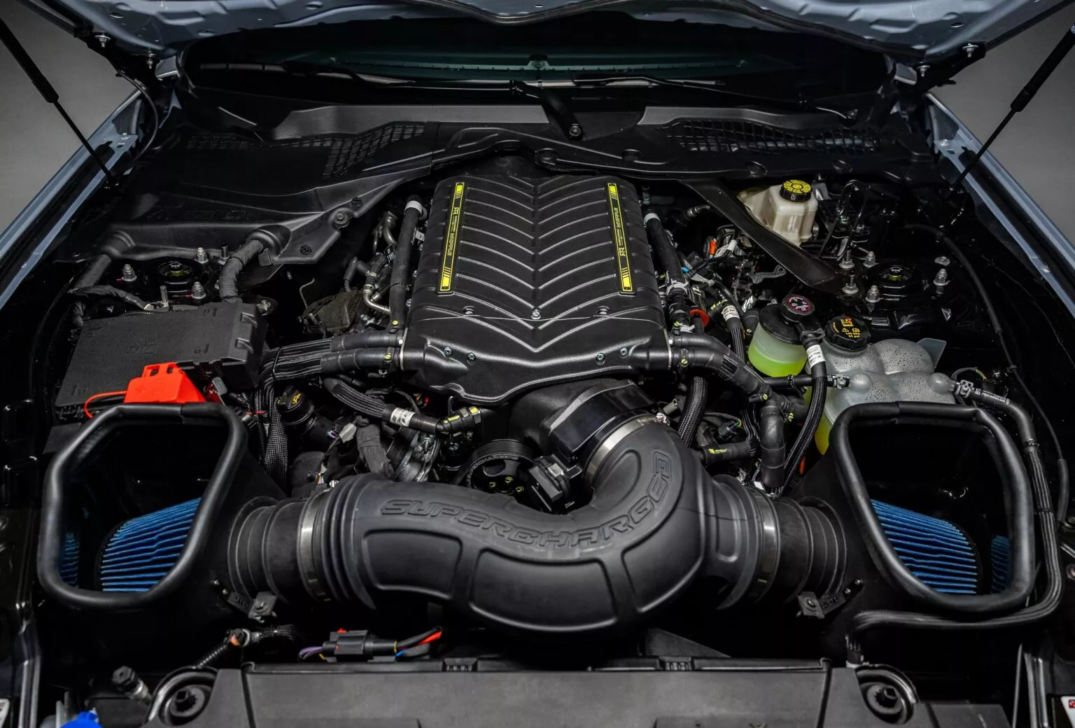 Mustang Spec 5