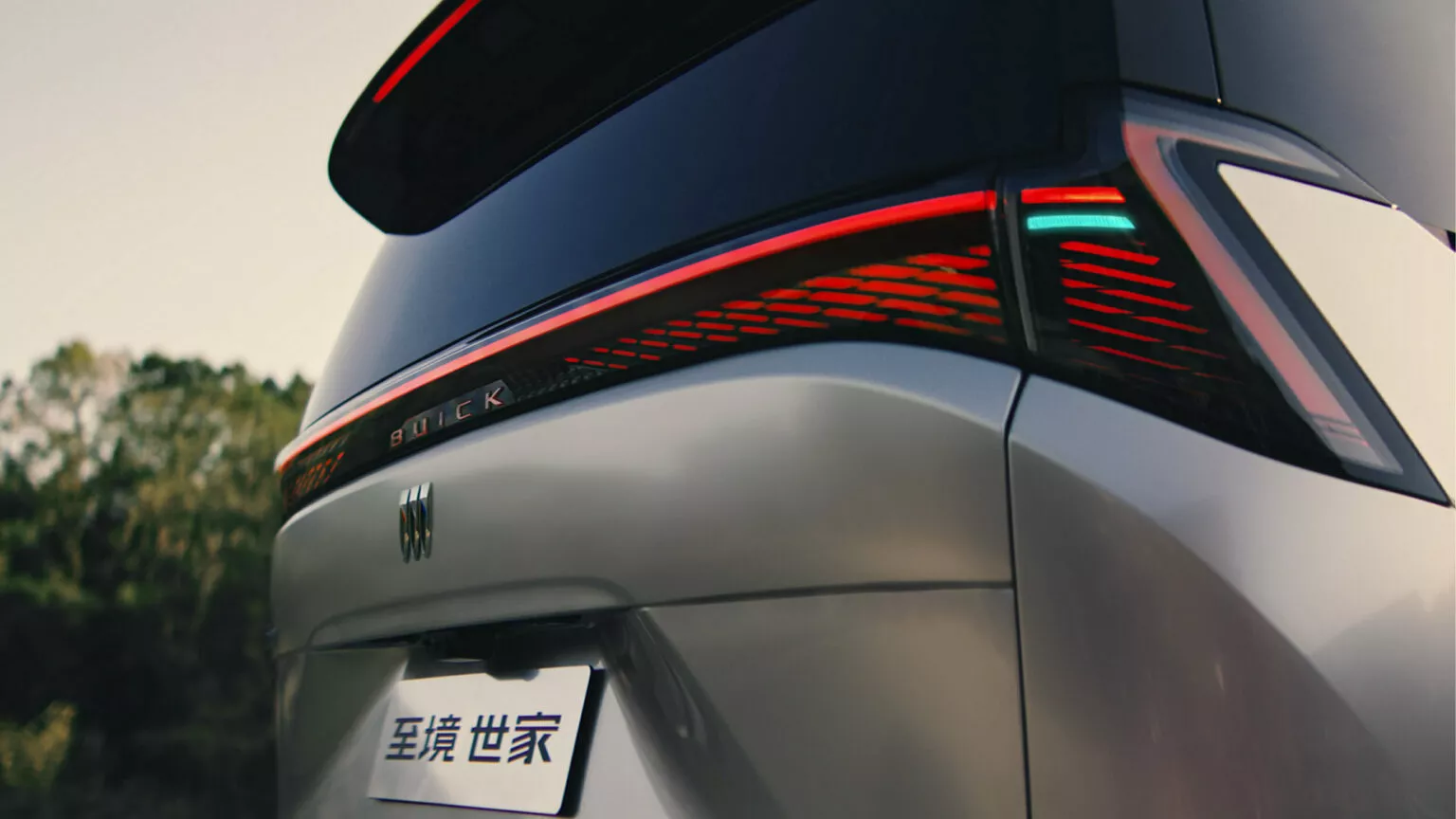 Buick Electra Encasa