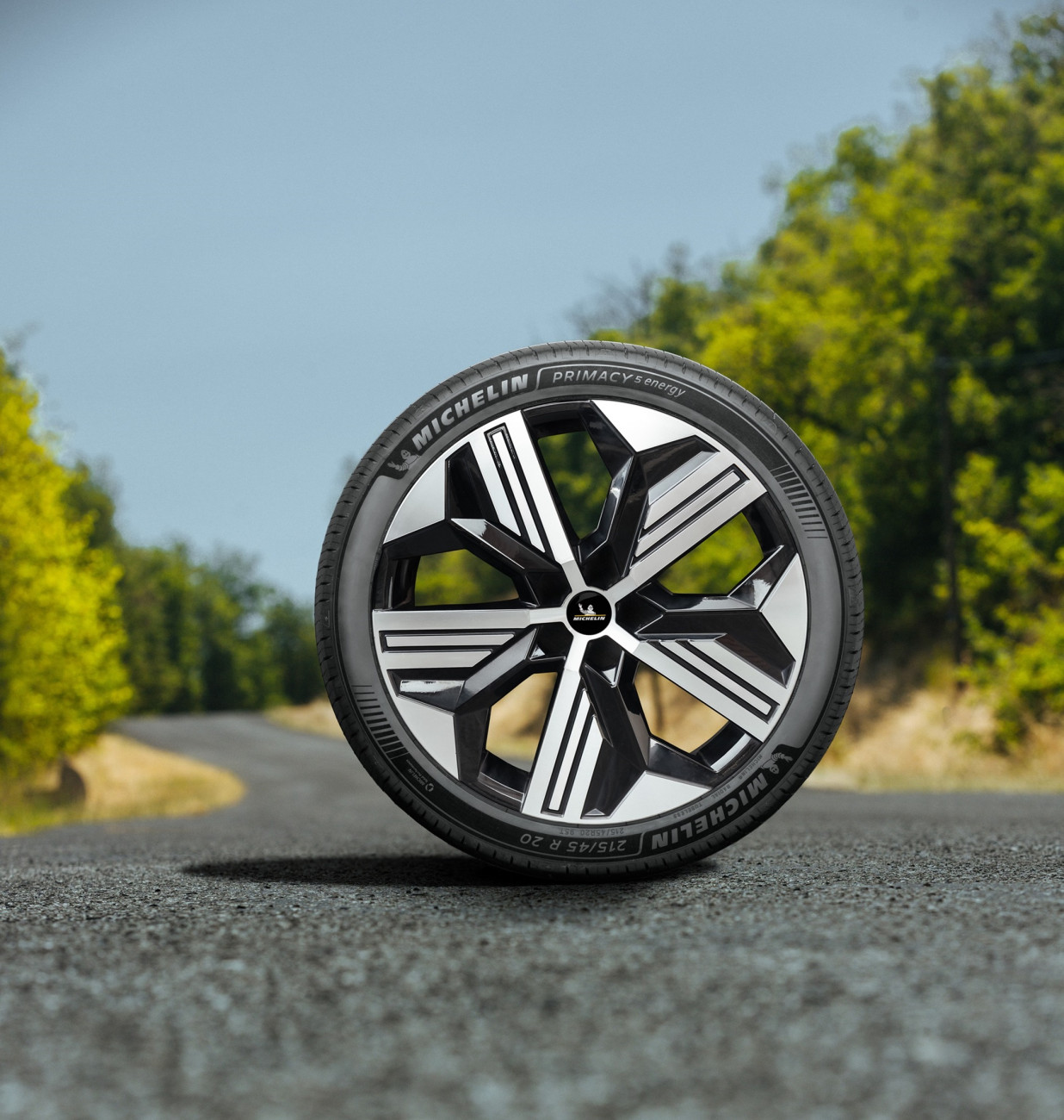 MICHELIN 