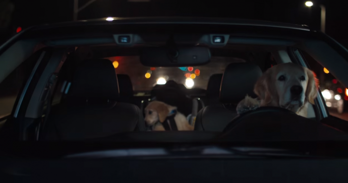 น่ารักจริง โฆษณา   Subaru   ฉบับหมาใช้หมาชอบ