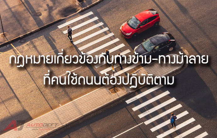 กฎหมายเกี่ยวข้องกับทางม้าลาย ที่คนใช้งานถนนทั้งเดินและขับรถควรต้องรู้และปฏิบัติตาม