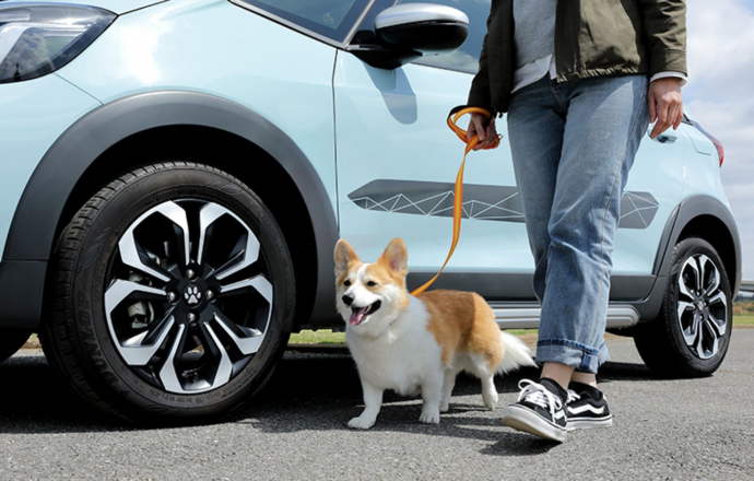 Honda เอาใจคนรักสุนัข ด้วยของตกแต่งและของใช้สุนัขในรถฮอนด้า