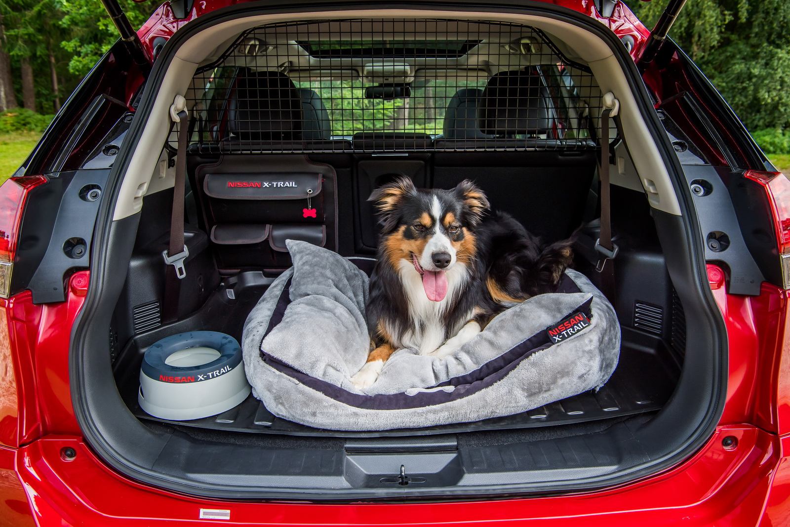 Nissan X-Trail Paw Pack